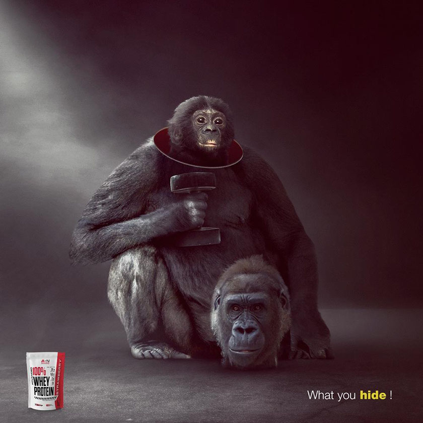 Advanced Sports Nutrition高級運動營養食品平面廣告設計，在對比中逆襲身材