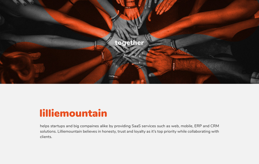 Lilliee 互聯(lián)網(wǎng)IT科技公司品牌形象設(shè)計(jì)-logo/vi設(shè)計(jì)