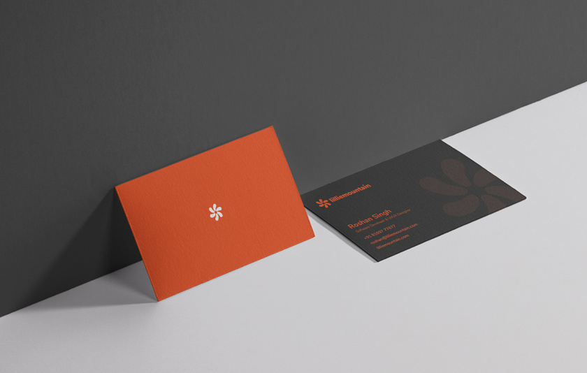 Lilliee 互聯(lián)網(wǎng)IT科技公司品牌形象設(shè)計(jì)-logo/vi設(shè)計(jì)