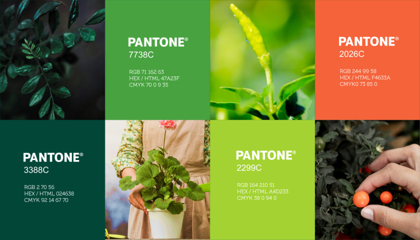 圣維德園藝鮮花綠植花園品牌形象vi視覺識別設(shè)計，多彩幾何圖形風(fēng)格