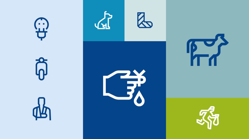 拜仁保險公司品牌vi視覺形象系統設計規范，靈活便于應用