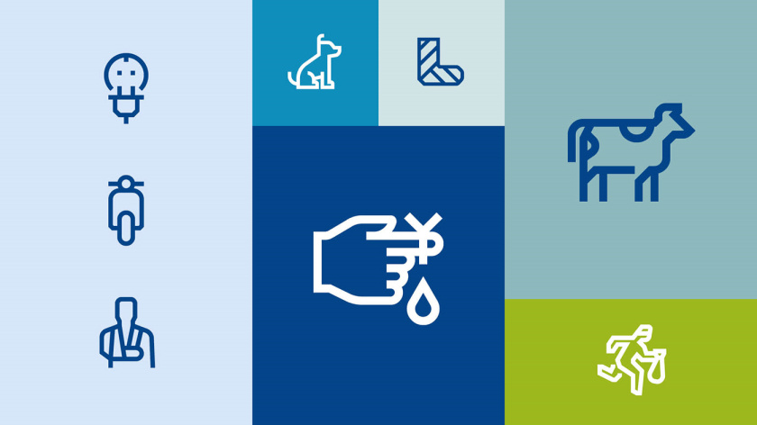 Bayern拜仁保險公司vi設計與視覺識別系統，適合任何媒體的應用系統