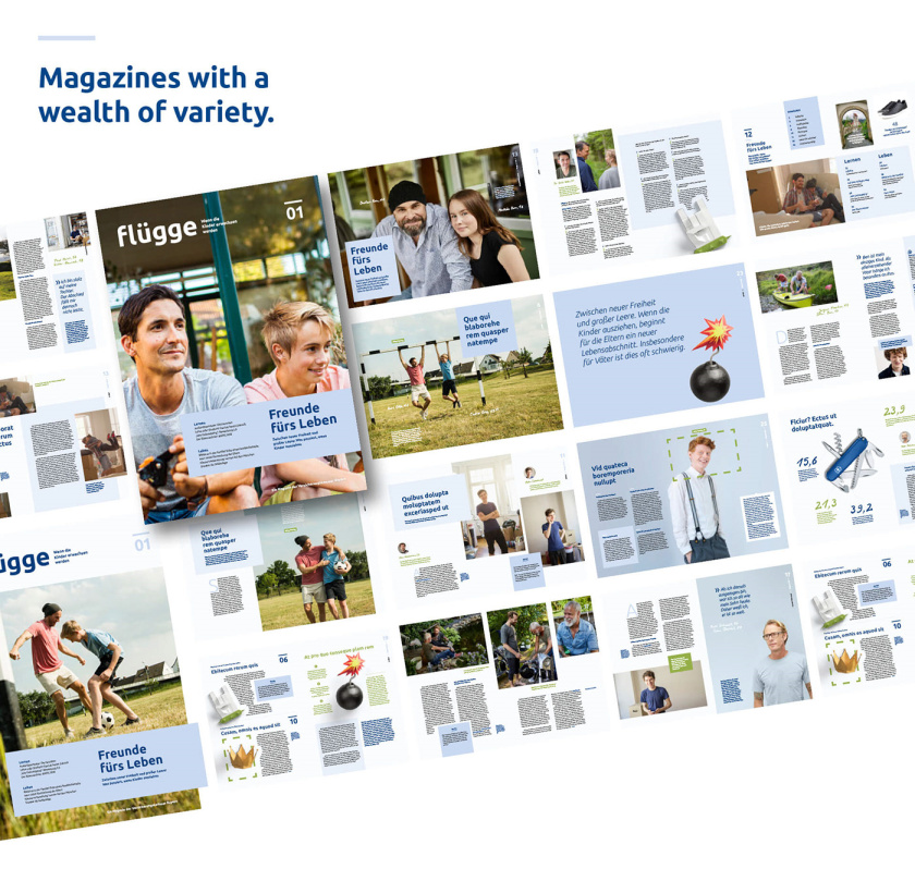 Bayern拜仁保險公司vi設計與視覺識別系統，適合任何媒體的應用系統