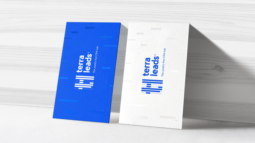 Terra Leads 注冊會計師互聯網平臺網站品牌形象logo設計vi設計，變化的垂直線條