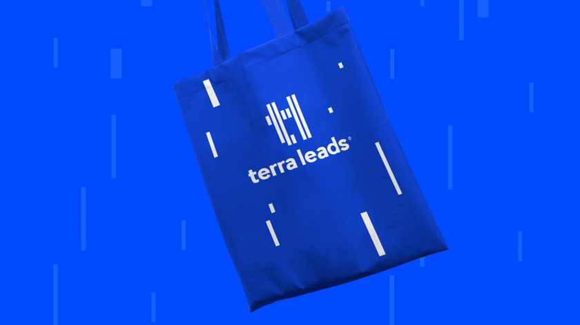 Terra Leads 注冊會計師互聯網平臺網站品牌形象logo設計vi設計-禮品袋子，變化的垂直線條