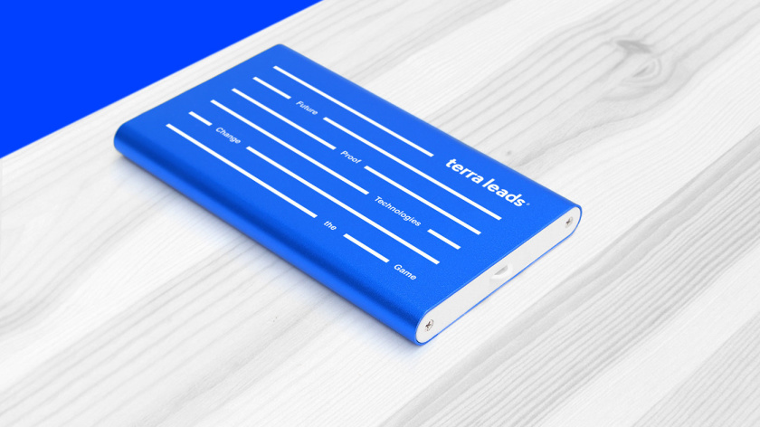 Terra Leads 注冊會計師互聯網平臺網站品牌形象logo設計vi設計-品牌禮品，變化的垂直線條