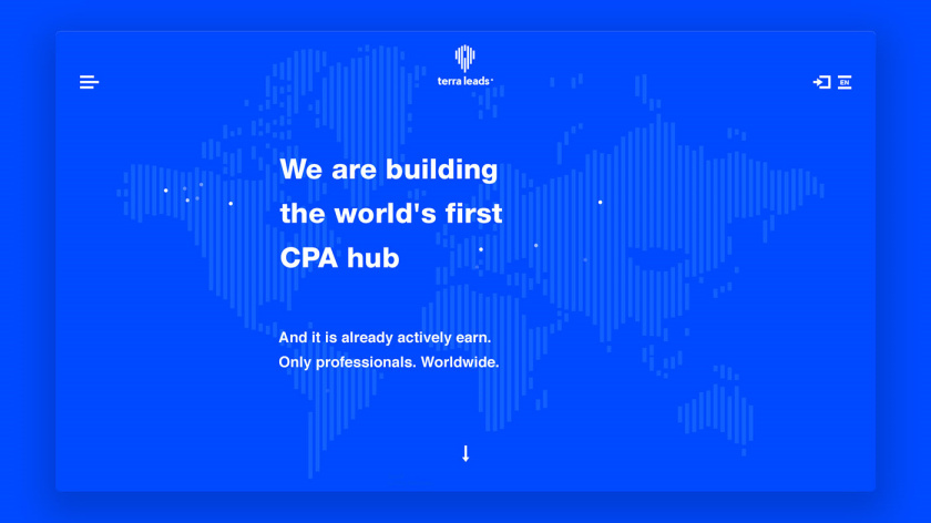Terra Leads 注冊會計師互聯網平臺網站品牌形象vi設計網站設計，變化的垂直線條
