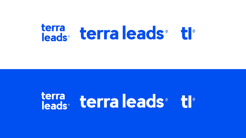 Terra Leads 注冊會計師互聯網平臺網站品牌形象logo設計-文字組合