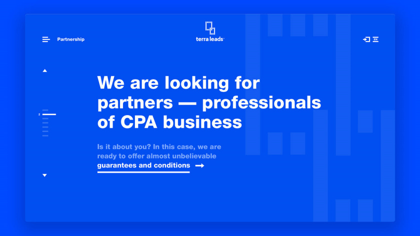 Leads 注冊會計師互聯網平臺網站品牌形象vi設計網站設計，變化的垂直線條