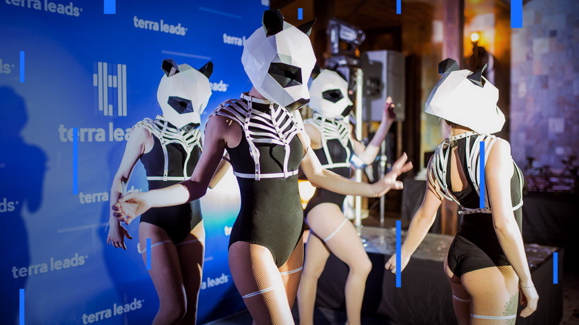 Leads 注冊會計師互聯網平臺網站品牌形象vi設計網站設計，變化的垂直線條