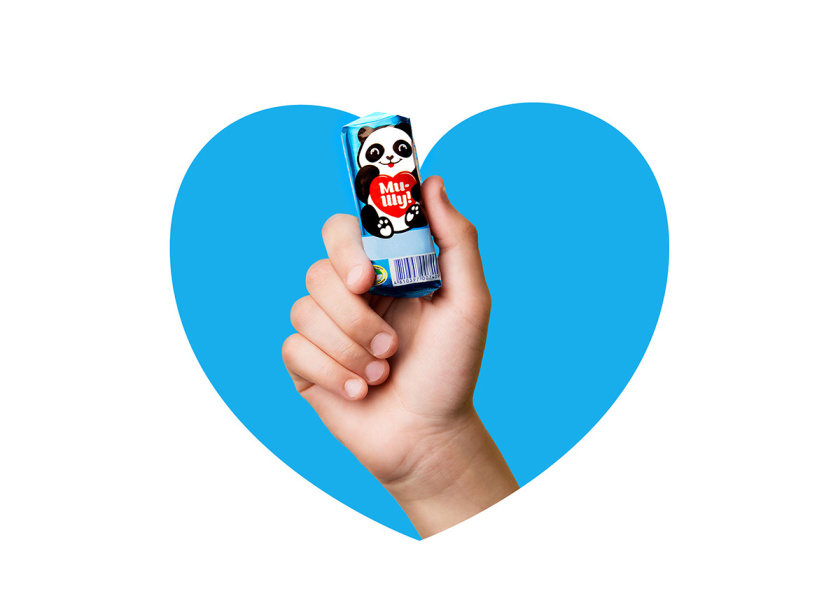 Mi-Shu 豆腐干包裝設計，品牌命名與熊貓插畫設計