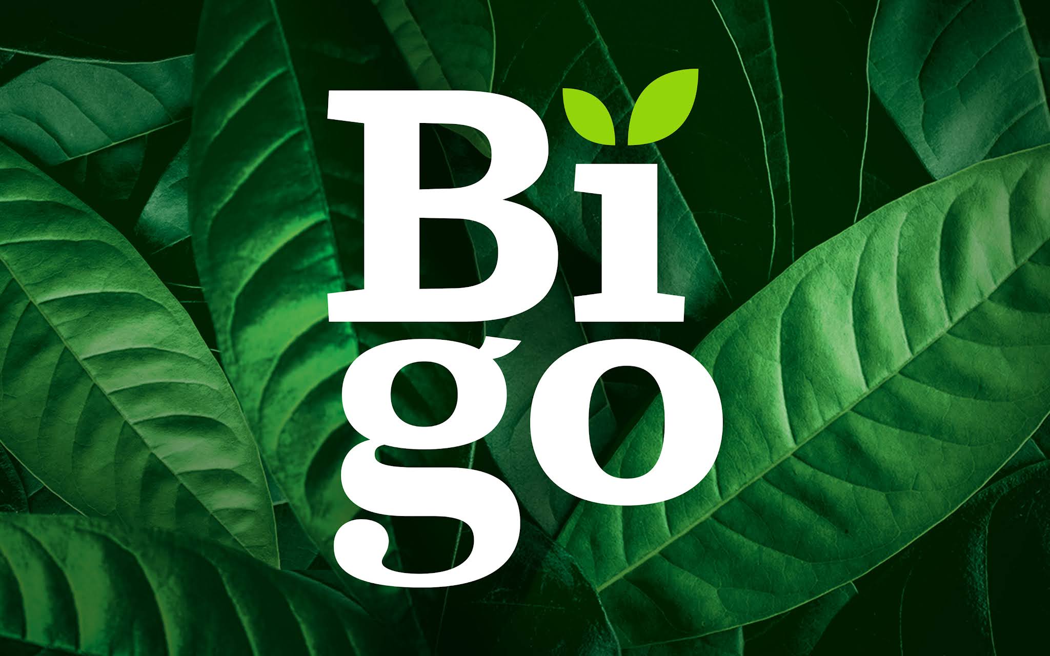 Bigo純天然功能飲料包裝設計”活力綠色白色“版式