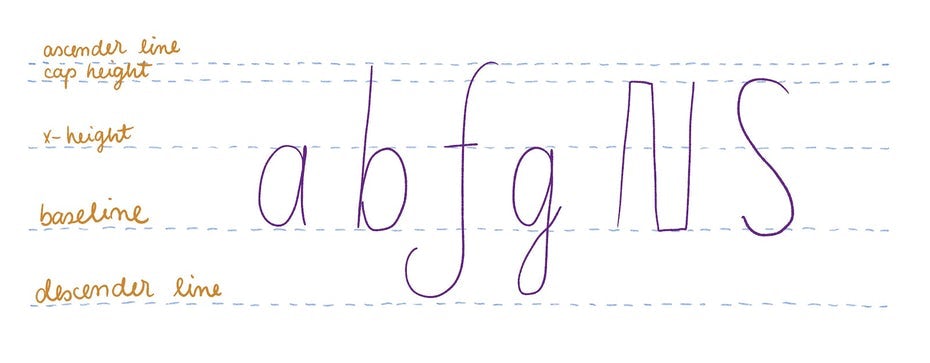 字體設計指南和解剖結構