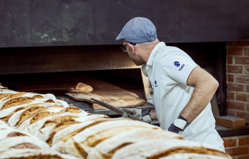 sania 烘培面包店品牌vi形象設計，寶藍色面包手繪線條輪廓圖案