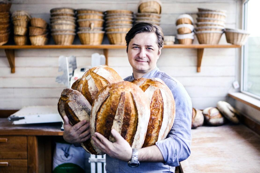 sania 烘培面包店品牌vi形象設計，寶藍色面包手繪線條輪廓圖案