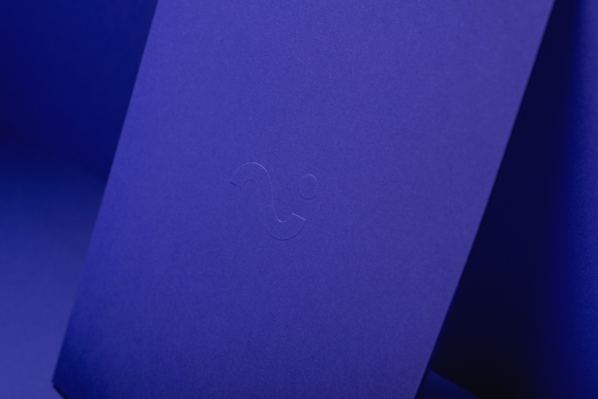 Sambrinvest 金融集團公司logo設計品牌形象vi設計，單色簡約而又藝術的風格