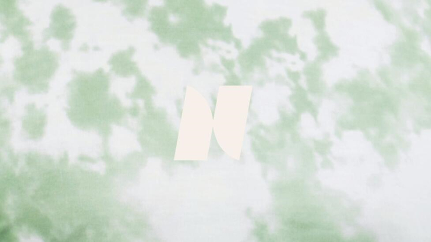 Nyord 服飾品牌識(shí)別設(shè)計(jì)-logo與vi設(shè)計(jì),獨(dú)特的字母N設(shè)計(jì)及組合圖案