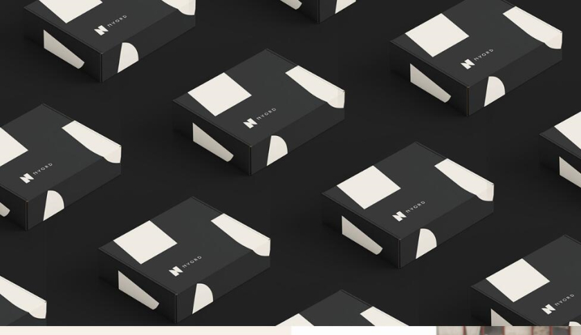 Nyord 服飾品牌識(shí)別設(shè)計(jì)-logo與vi設(shè)計(jì),獨(dú)特的字母N設(shè)計(jì)及組合圖案