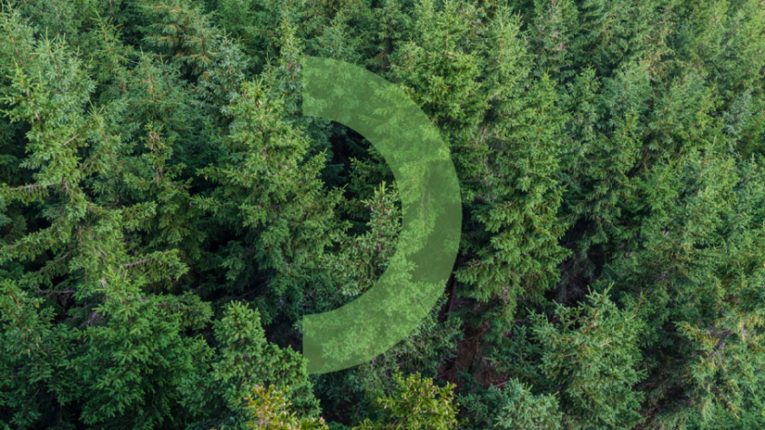 Mari El旅游品牌形象設(shè)計(jì)logo設(shè)計(jì)，一個(gè)清新放松的品牌形象