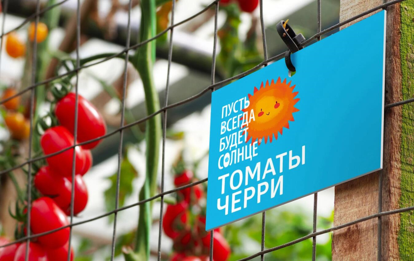 “永遠的陽光”西紅柿小番茄農產品品牌創建策劃設計-logo包裝設計