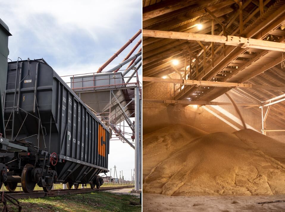 Zerno 農業公司自傳書籍編輯畫冊設計