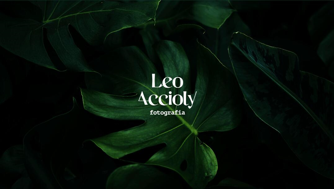 Leo Accioly 高質量攝影公司品牌識別設計