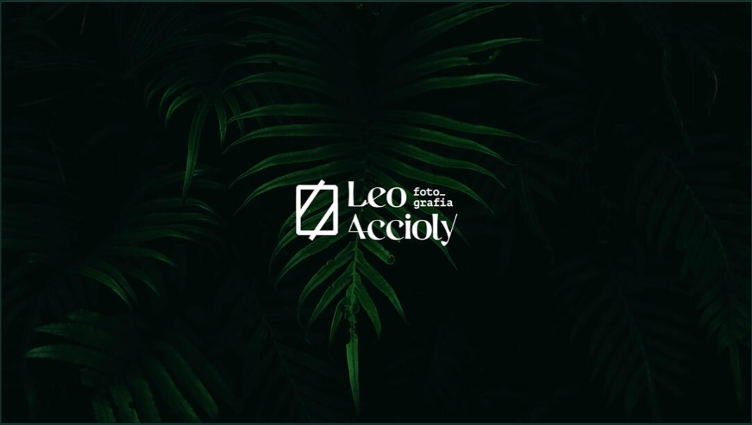 Leo Accioly 高質量攝影公司品牌識別設計logo設計