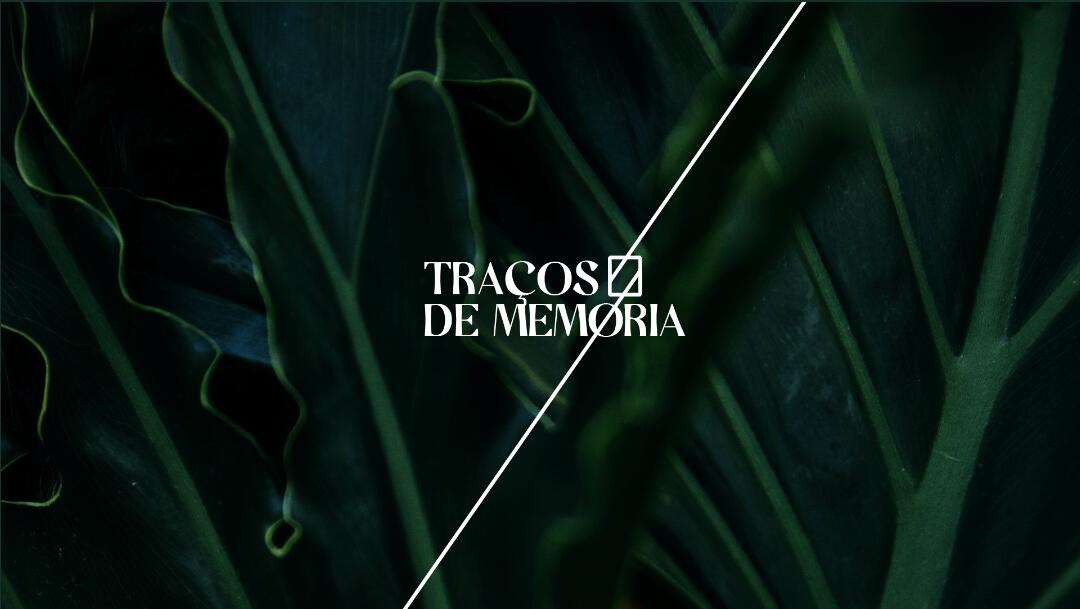 Leo Accioly 高質量攝影公司品牌識別設計logo設計vi設計