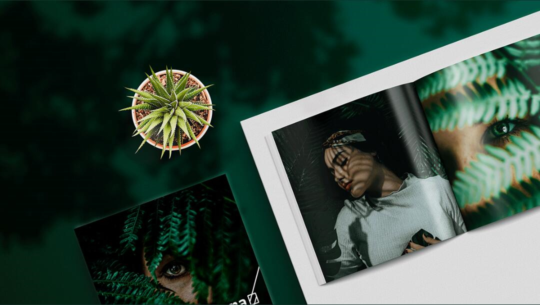 Leo Accioly 高質量攝影公司品牌識別設計