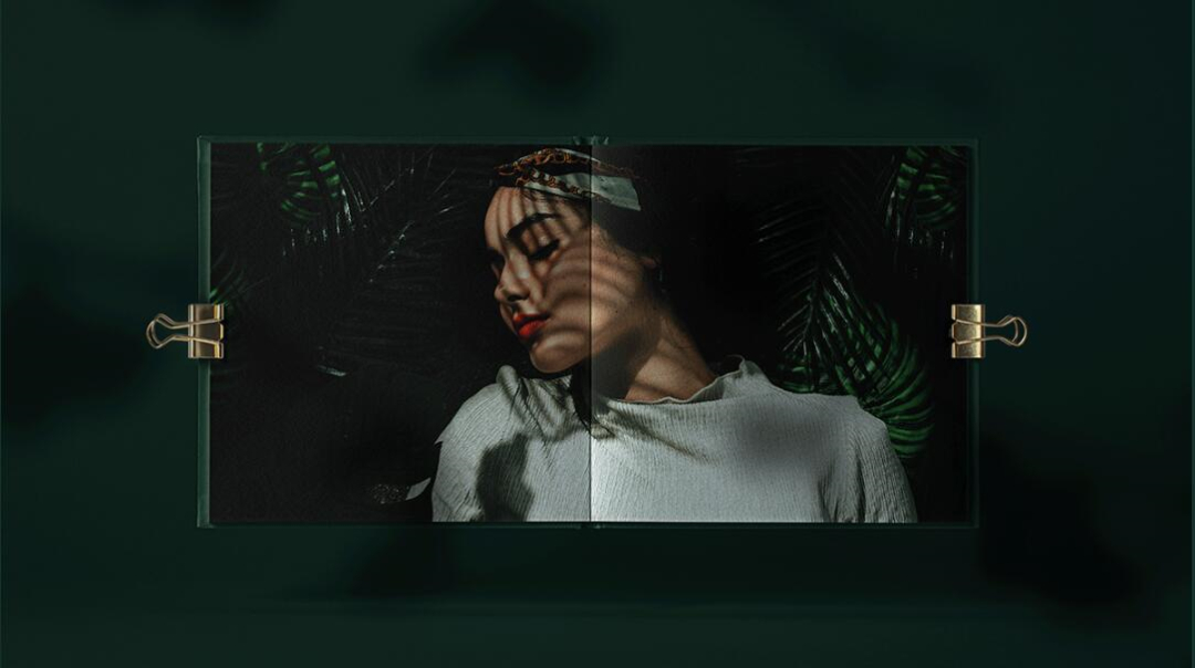 Leo Accioly 高質量攝影公司品牌識別設計