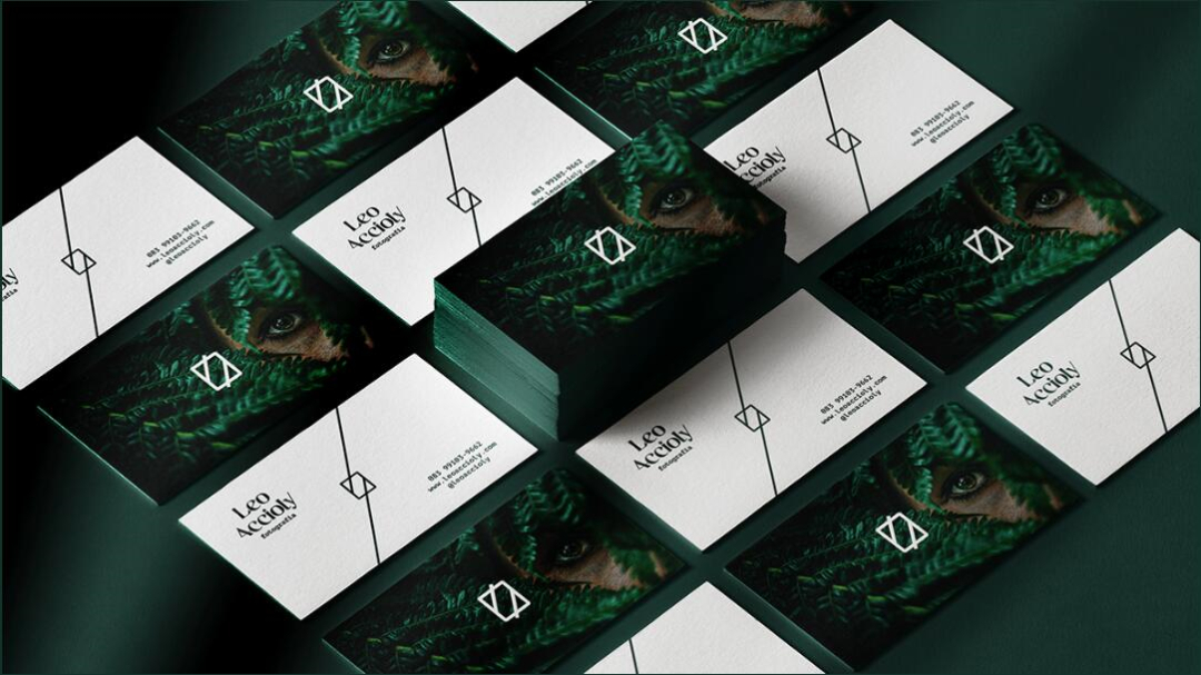 Leo Accioly 高質量攝影公司品牌識別設計