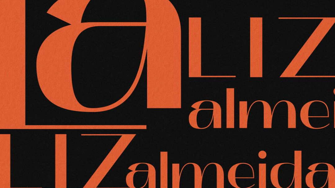 個性與時尚的Liz Almeida服裝品牌vi設(shè)計,以“雜亂而有序排列的線元素為輔助識別 個性與時尚的Liz Almeida服裝品牌vi設(shè)計,以“雜亂而有序排列的線元素為輔助識別