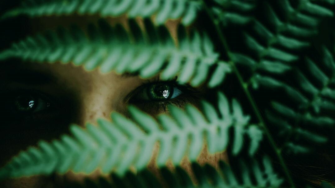 Leo Accioly 高質量攝影公司品牌識別設計