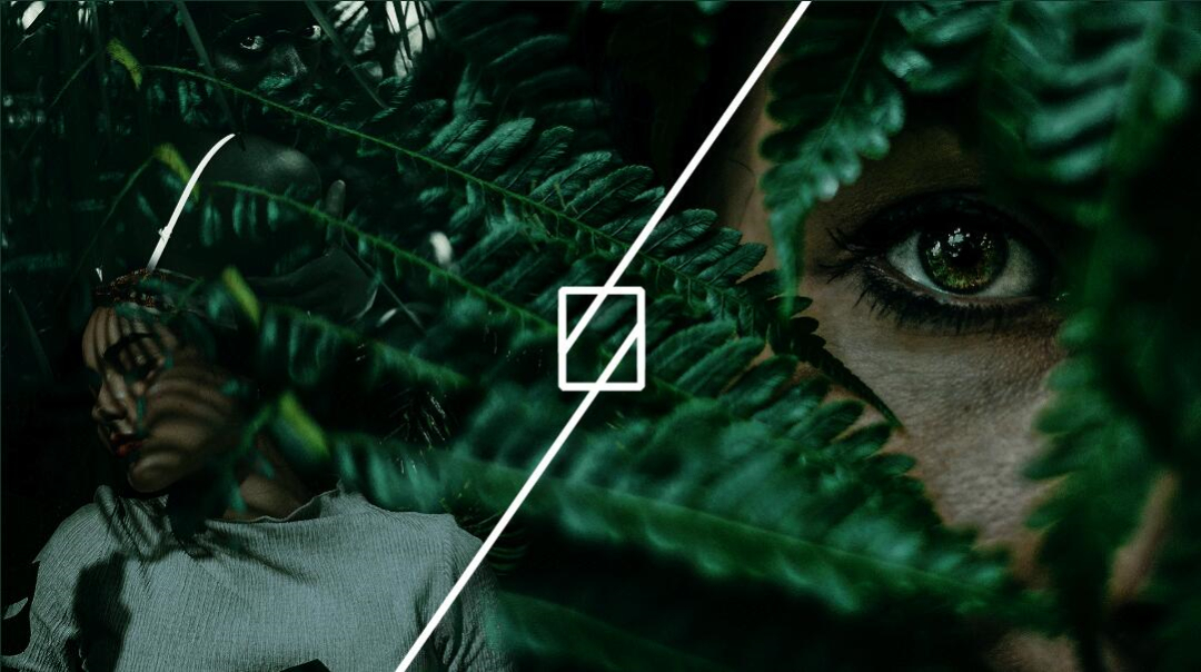 Leo Accioly 高質量攝影公司品牌識別設計logo設計