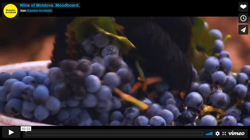 摩爾多瓦釀酒師協會logo設計“地圖+酒滴+葡萄+白鸛展翅+火”