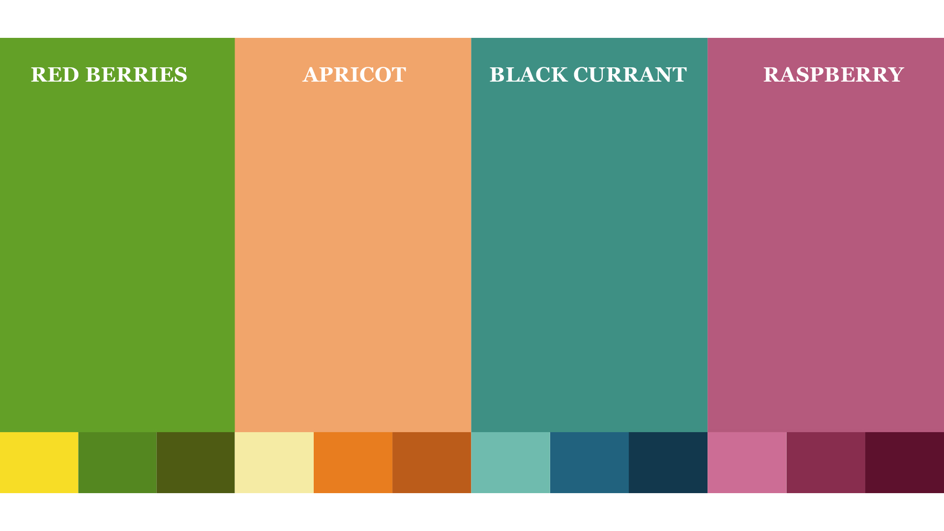 Belevsky水果糖果餅干包裝設(shè)計(jì)，多樣化配色與充滿食欲的水果插畫(huà)