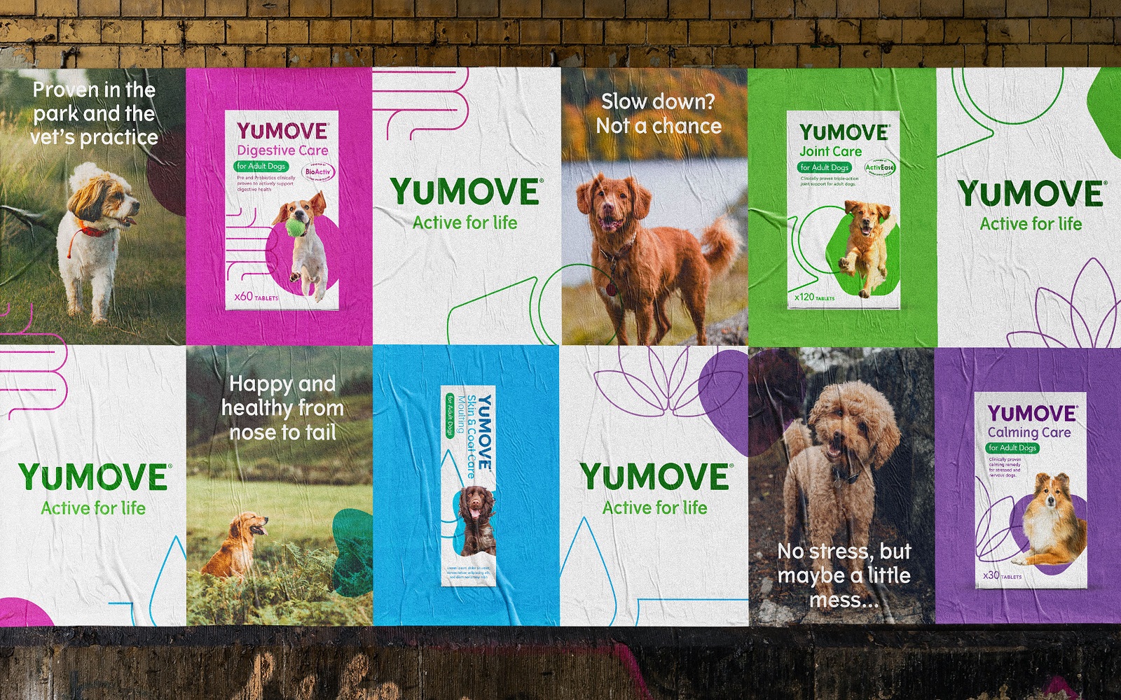 YuMOVE寵物護理品牌戰略策劃與系列產品包裝形象更新設計‘色塊+線條“