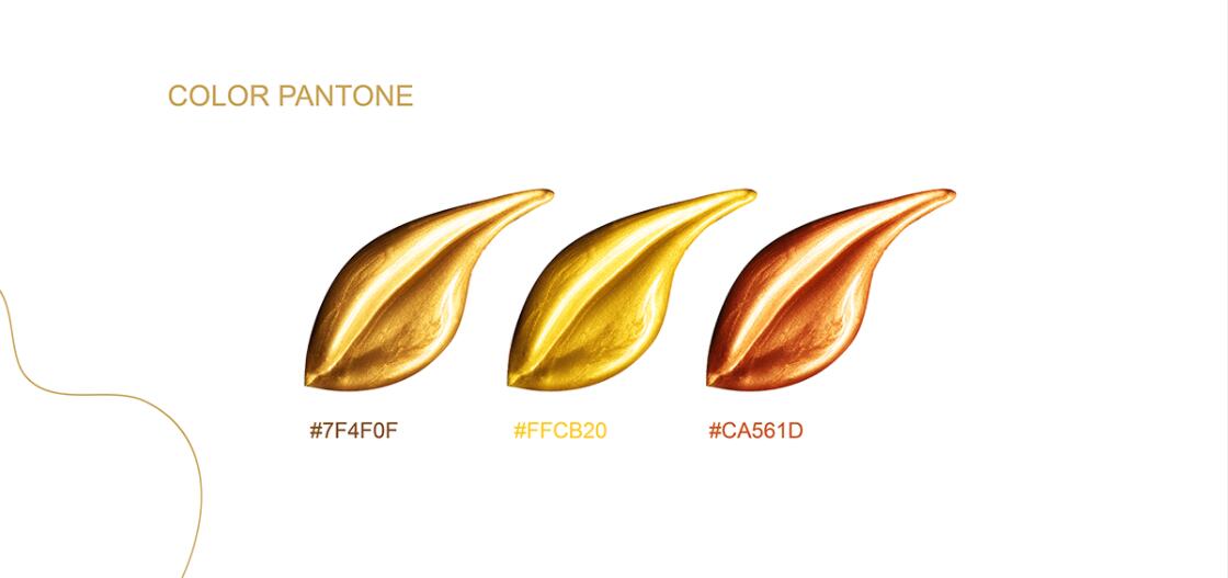 Dr.Khaled 面部整形醫(yī)院標志設計“面部曲線”圖案