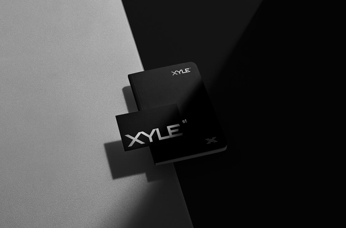 Xyle建筑設計公司logo設計品牌形象vis設計，x磚塊logo與超酷黑白漸變vi風