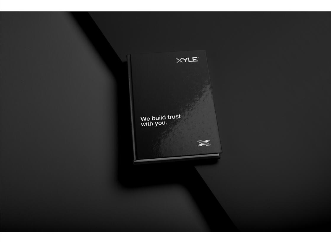 Xyle建筑設計公司logo設計品牌形象vis設計，x磚塊logo與超酷黑白漸變vi風