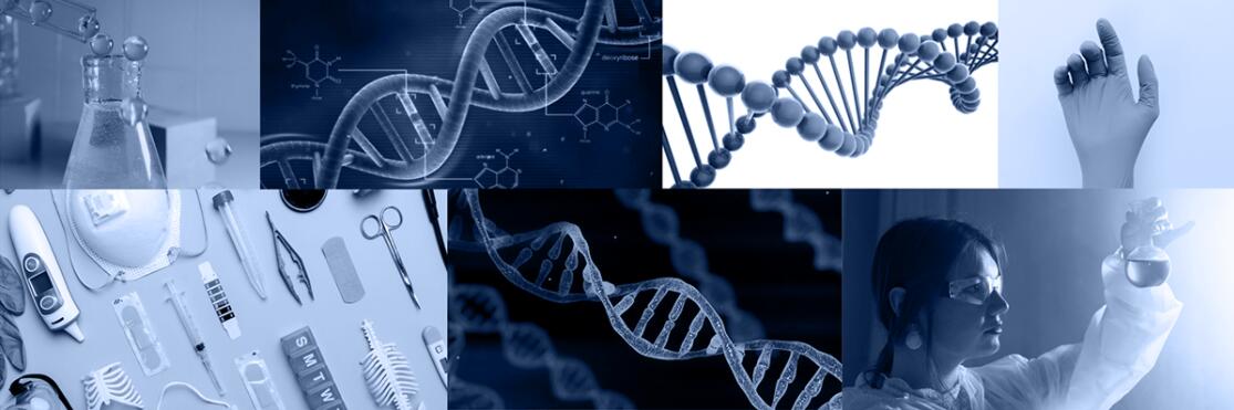 Aldora 醫(yī)療用品公司logo設(shè)計vi設(shè)計，基因重疊+字母A