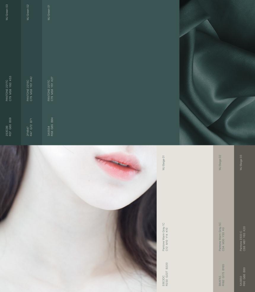 wonjin韓國醫療美容整形機構整套vi設計，低調暗綠色風格