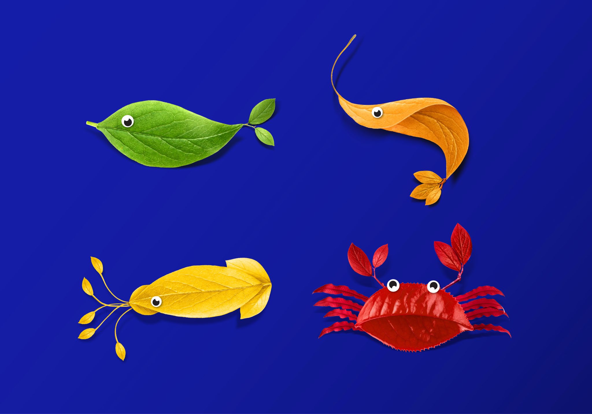 Mantra植物基素食海鮮食品包裝設計，藍色品牌識別+植物葉子海洋生物