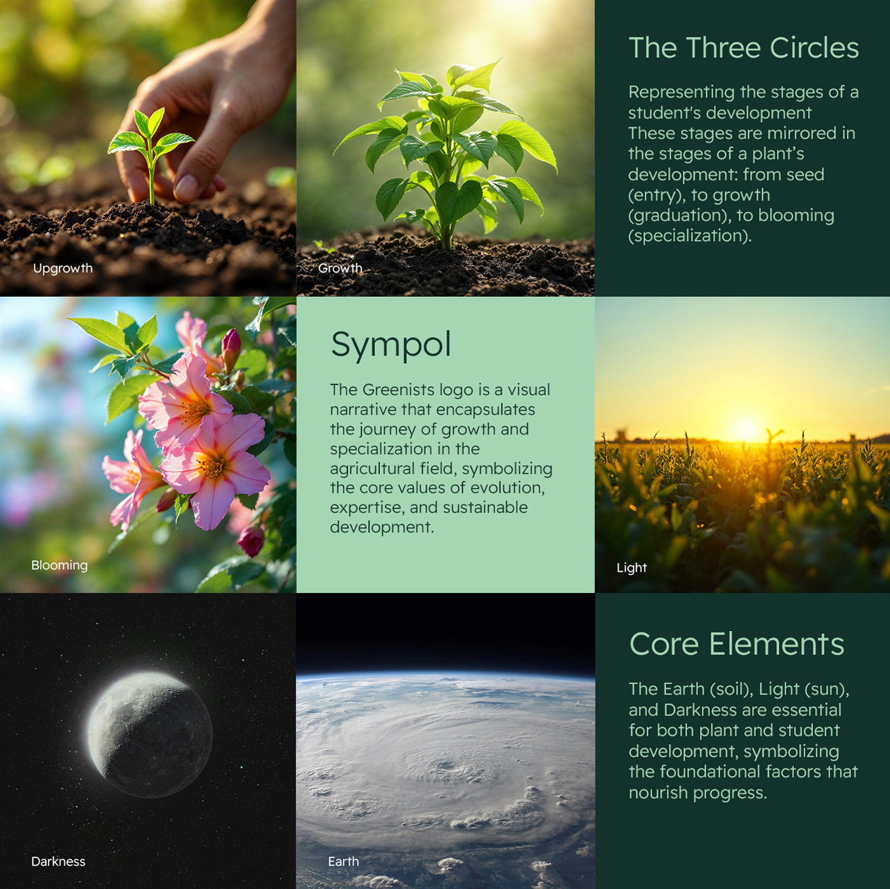 Greenists農業教育學院綠色G字母logo設計vi視覺形象設計