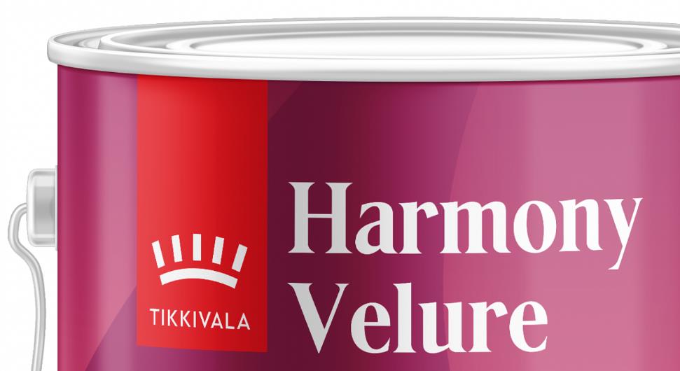 Tikkivala：涂料世界領導者品牌命名和”簡約皇冠“logo設計