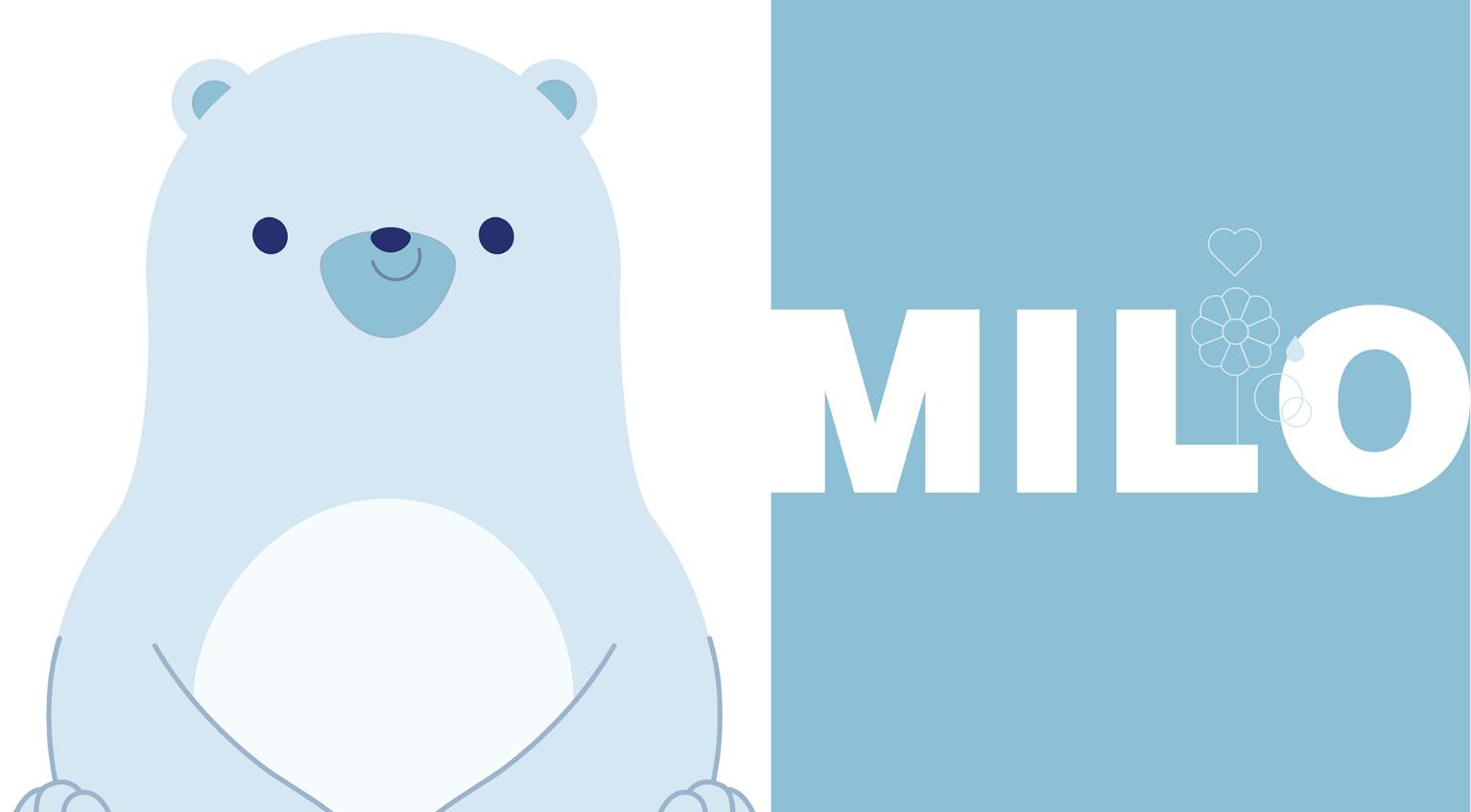 chicco嬰兒天然日化洗護產品“熊貓”吉祥物設計包裝設計