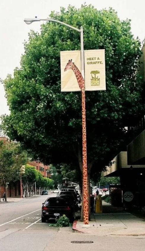 .圣地亞哥動物園戶外道旗廣告