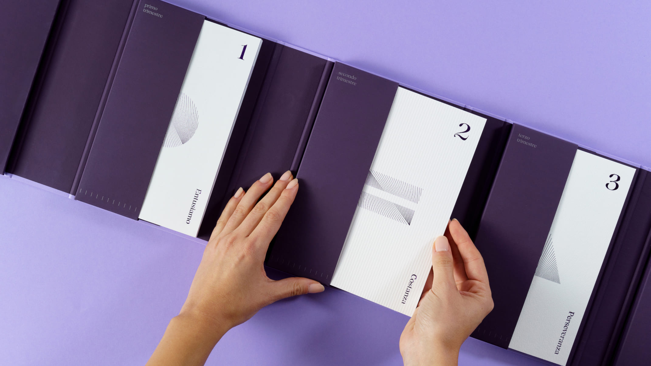 Efficacemente 教育課程套件禮盒包裝設計平面設計，紫色幾何線條風格