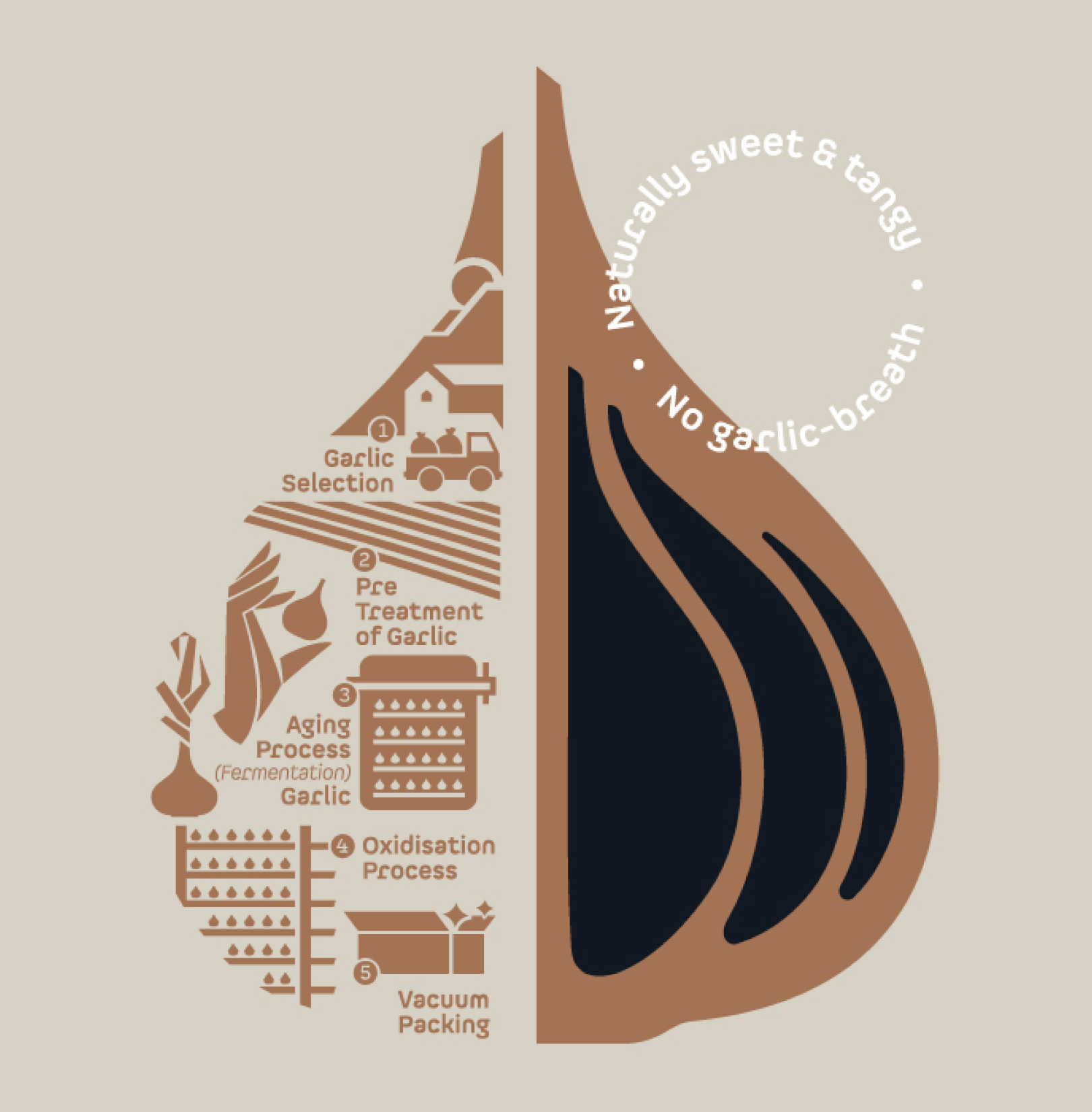 Kasaya黑蒜健康養(yǎng)生保健品品牌創(chuàng)建-命名-logo-包裝設(shè)計