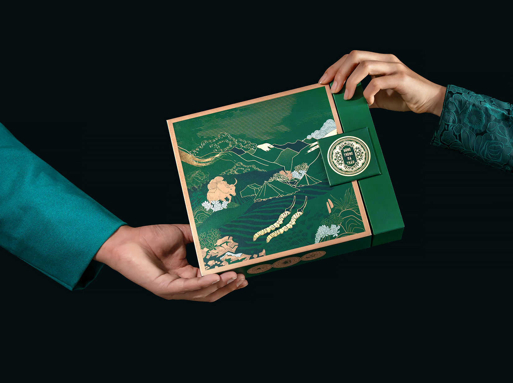 喜馬拉雅山冬蟲夏草套裝禮品禮盒包裝設計“自然山脈風景”插畫